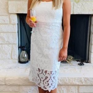Bardot Lina Lace Sheath dress size 8